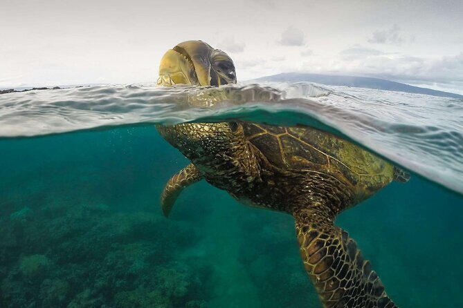 Trinco Tour A - Snorkeling & Island Hopping tour - Discover the Wonders of Sri Lanka’s Marine Life with the Trinco Tour A