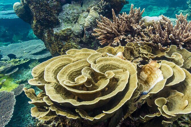 Trinco Tour A - Snorkeling & Island Hopping tour - An In-Depth Look at the Tour Experience