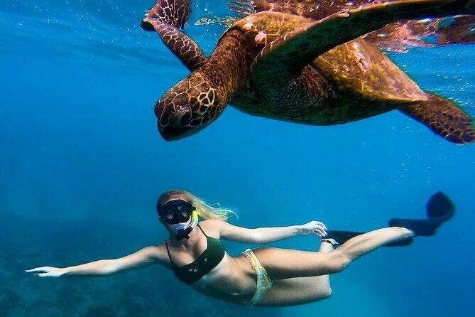 Trinco Tour A - Snorkeling & Island Hopping tour - Who Should Consider This Tour?