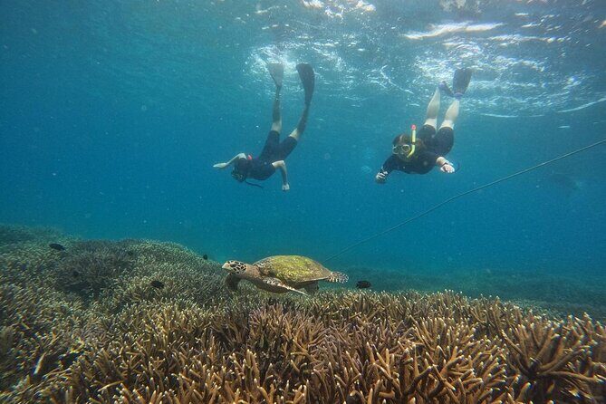 Trinco Tour A - Snorkeling & Island Hopping tour - FAQ