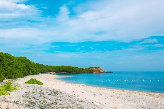 Trincomalee and Nilaveli beach Tour from Anuradhapura - The Full Breakdown: What to Expect from the Tour