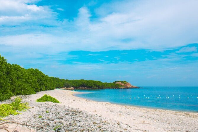 Trincomalee and Nilaveli beach Tour from Kandy - Pricing and Value