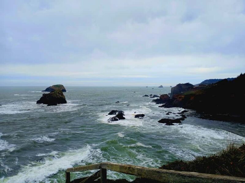 Trinidad: Elk Head Trail Guided Nature Walking Tour - Who Should Consider This Tour?