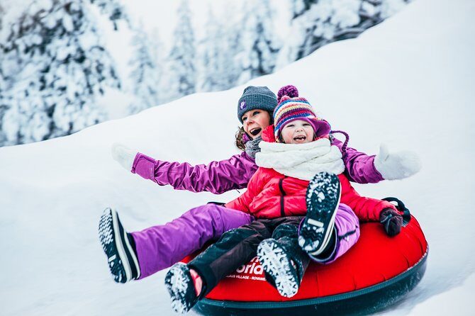 Trip to Arctic Circle, Santa Claus Village and Santas Reindeer - What to Expect on the Tour