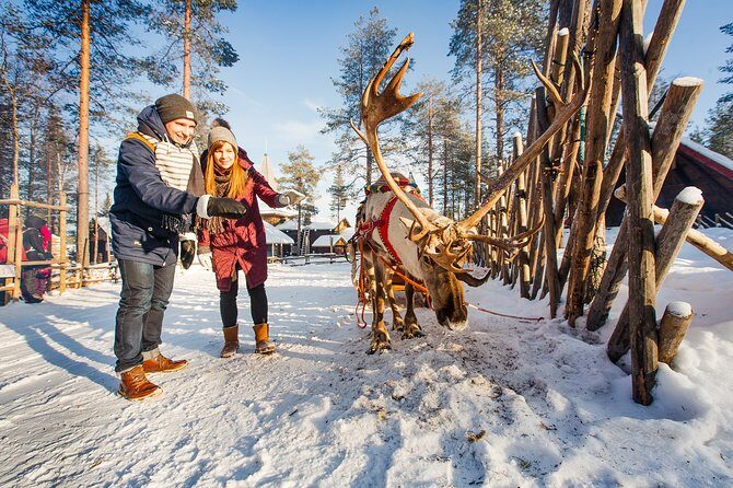 Trip to Arctic Circle, Santa Claus Village and Santas Reindeer - The Bottom Line