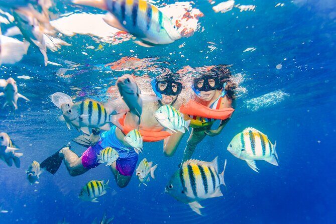 Trip to Isla Mujeres by Catamaran, with snorkeling and drinks - FAQ