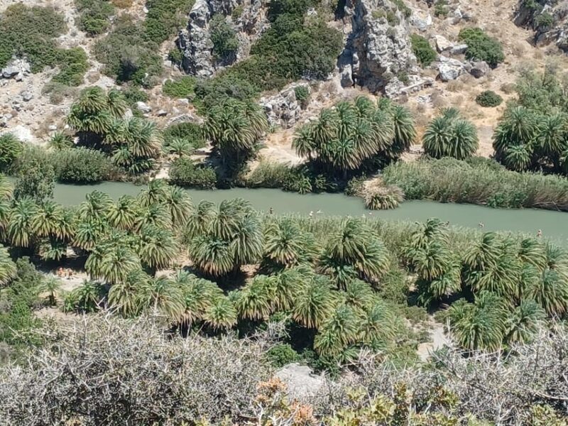 Trip to Kourtaliotiko Gorge and Preveli Beach - The Value of This Tour