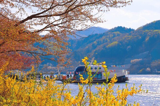 Trip to Nami Island with Petite France & Italian Village, Garden of Morning Calm - A Deep Dive into the Itinerary