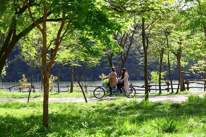 Trip to Nami Island with Petite France & Italian Village, Garden of Morning Calm - What to Expect: The Practical Details