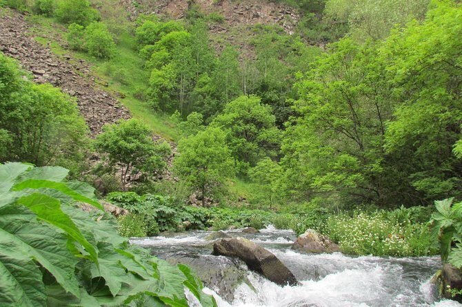 Trip to The Diamond Bridge and Dashbashi Canyon - Who Would Love This Tour?