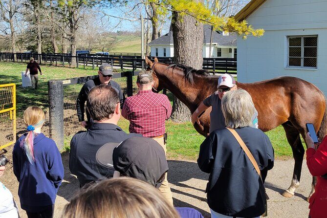 Triple Crown Experience - FAQ