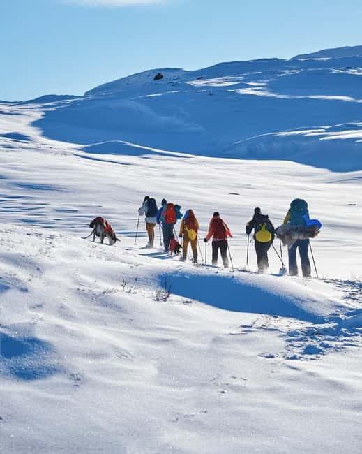 Trolltunga Day Hike - An Authentic Norwegian Adventure: What to Expect