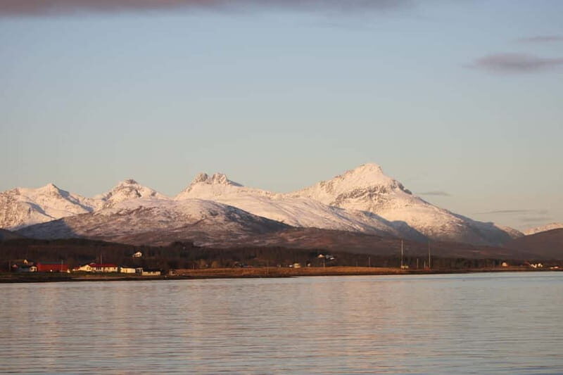 Tromsø: 2-Hour Island Tour Cruise with Snacks and Drinks - The Highlights and What You’ll See