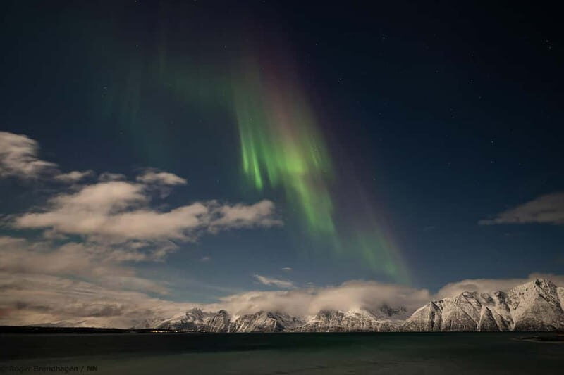 Tromsø: 24hr Northern Lights & Whale Watching Cruise - The Experience: What You Can Expect