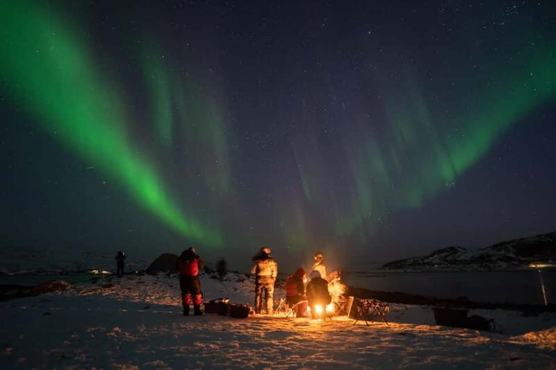 Tromsø: Adult Only Aurora hunt with Citizen Science - What Sets This Tour Apart?