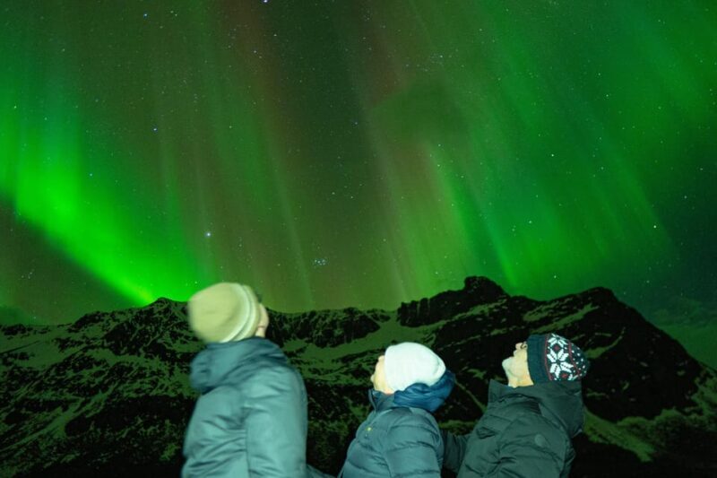 Tromsø Adventurous Northern Lights Small-Group - Who Is This Tour Best For?
