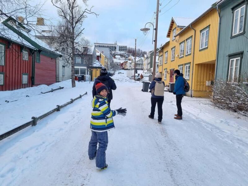 Tromsø: Arctic Cathedral and City Walking Tour - Key Points