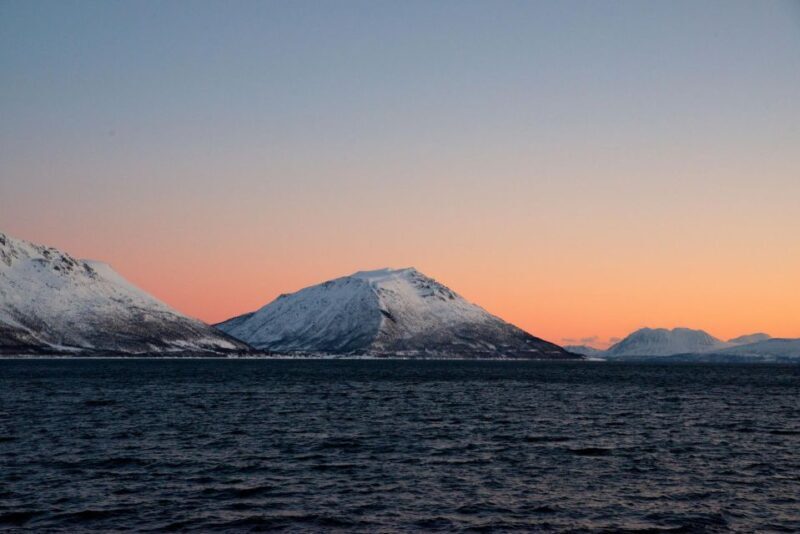 Tromsø: Arctic Fjord Cruise in Polar Landscapes - A Detailed Look at the Arctic Fjord Cruise