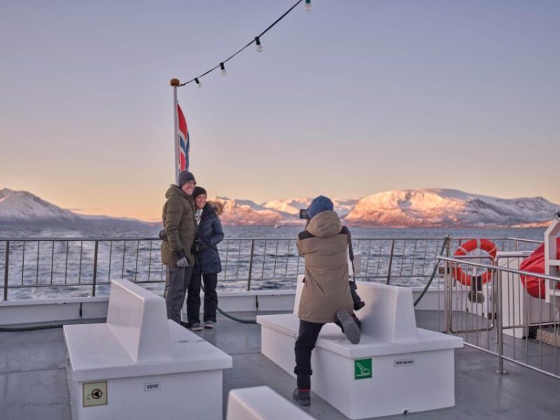 Tromsø: Arctic Fjord Cruise in Polar Landscapes - Who Will Love This Tour?