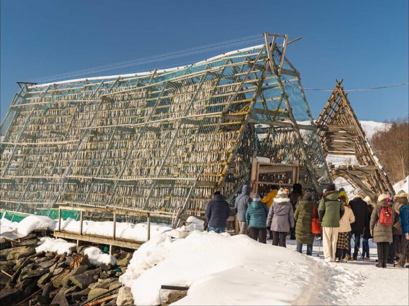 Tromsø: Arctic Fjord Cruise With Stop On Land At Fish Racks - Tromsø: Arctic Fjord Cruise With Stop On Land At Fish Racks — An Authentic Arctic Adventure