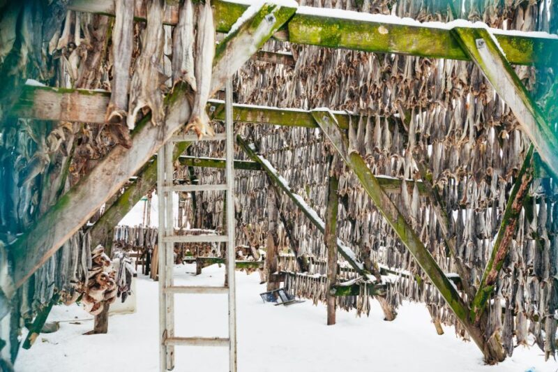 Tromsø: Arctic Fjord Cruise With Stop On Land At Fish Racks - Key Points