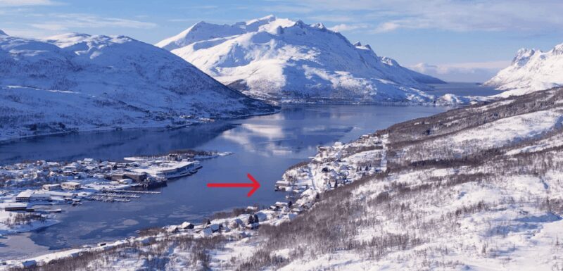 Tromsø: Arctic Fjord Floating in Survival Suit - Potential Drawbacks or Considerations