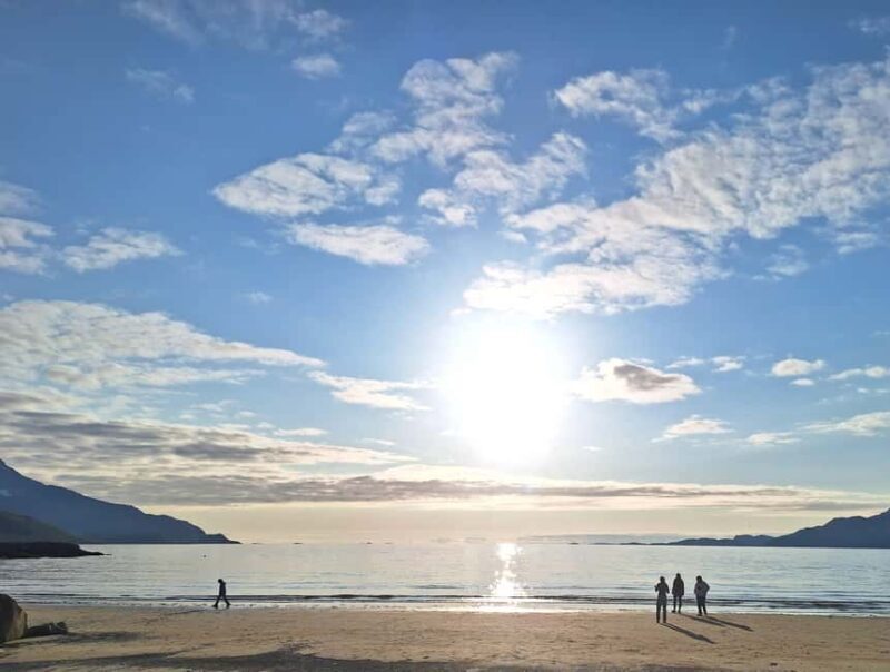 Tromso: Arctic Fjord & Nature Tour with Snacks & Hot Drinks - The Sum Up