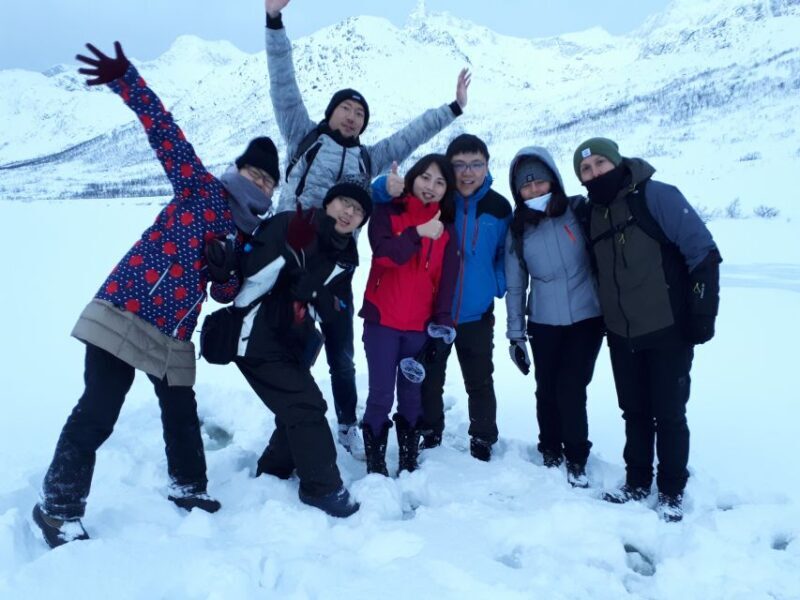 Tromsø: Arctic Landscape and Fjord Tour with Snacks - Key Points