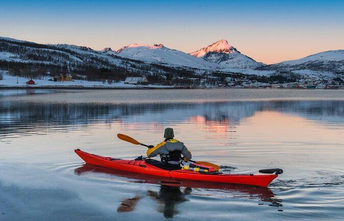 Tromsø: Arctic Landscapes Hiking / Snowshoeing Tour in the wild - Key Points