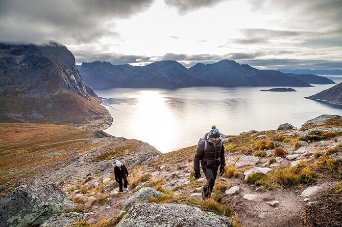 Tromsø: Arctic Landscapes Hiking / Snowshoeing Tour in the wild - Final Thoughts: Is It Worth It?