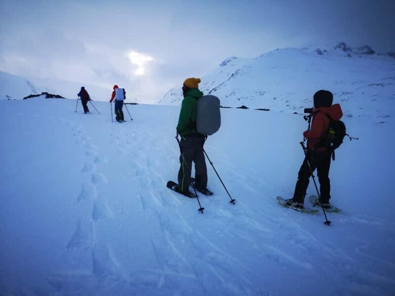 Tromsø: Arctic Snowshoeing Experience - Summary