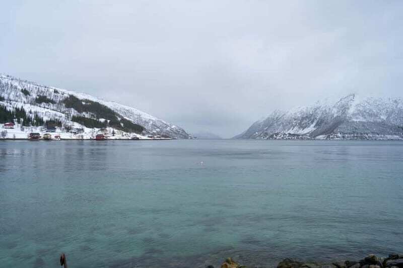 Tromsø: Artic Fjord tour - The Sum Up