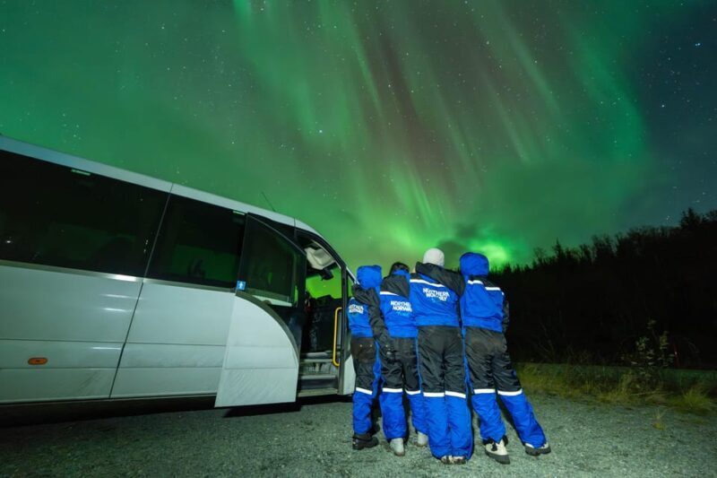 Tromsø: Aurora Borealis, Campfire, Hot Meal, Arctic Tour - Key Points