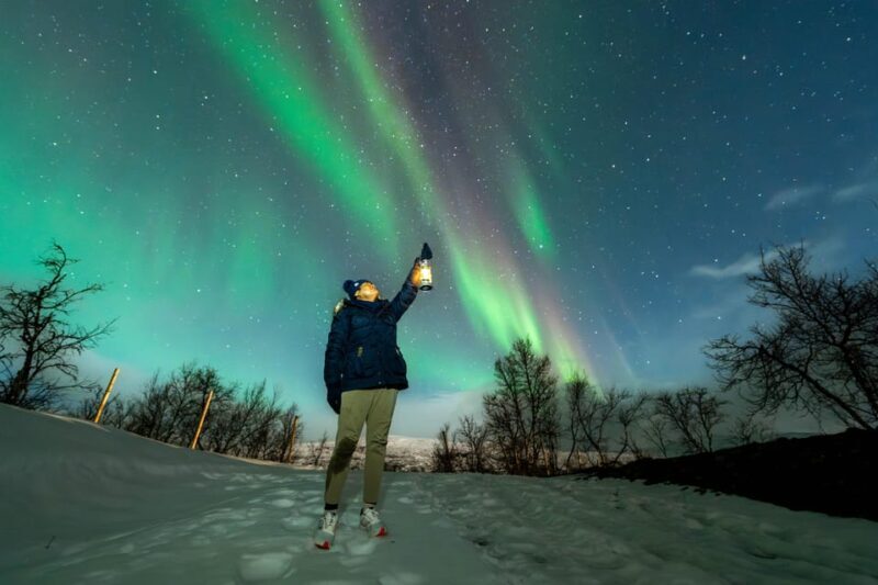 Tromsø: Aurora Borealis, Campfire, Hot Meal, Arctic Tour - FAQ