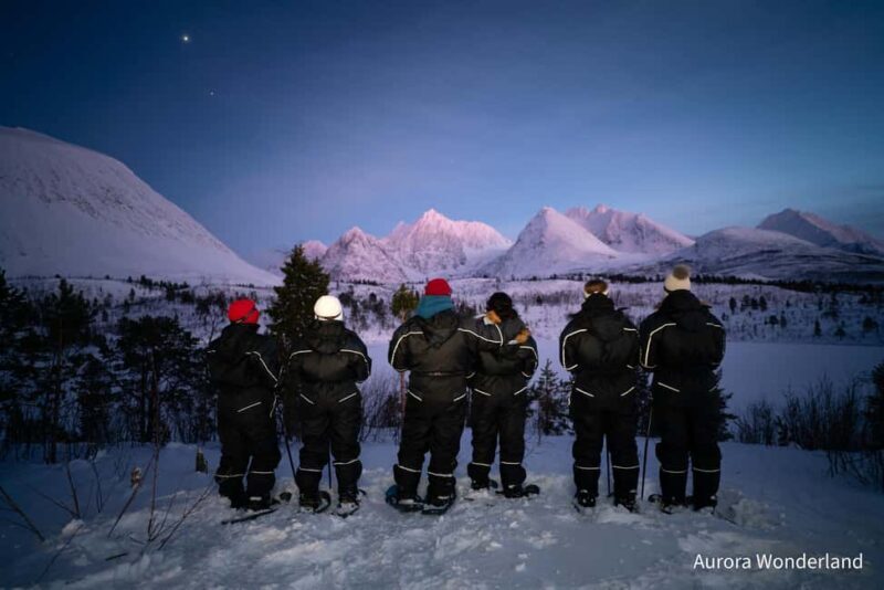 Tromsø: Aurora Crystal Lavvo Overnight Stay with Activities - What Makes This Experience Special?