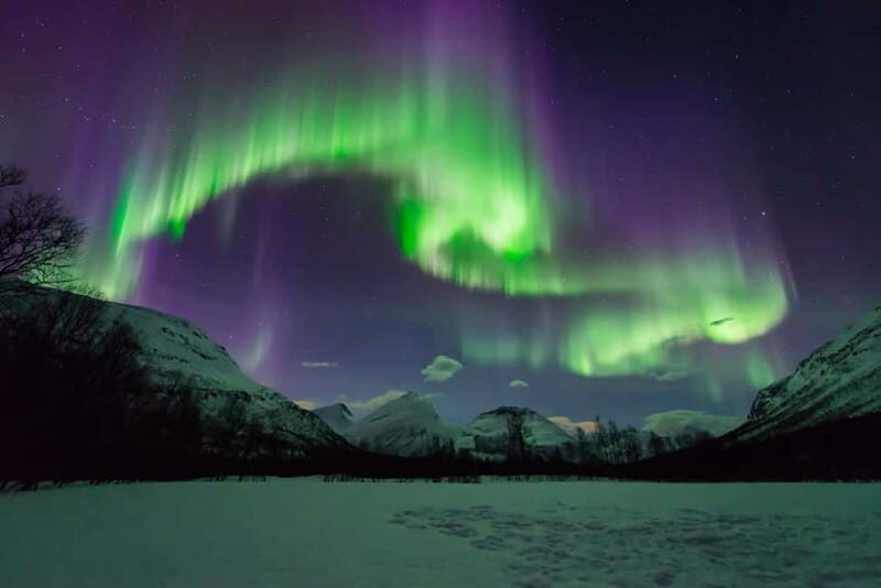 Tromsø: Aurora Hunt with Citizen Science - The Experience: What to Expect on the Aurora Hunt