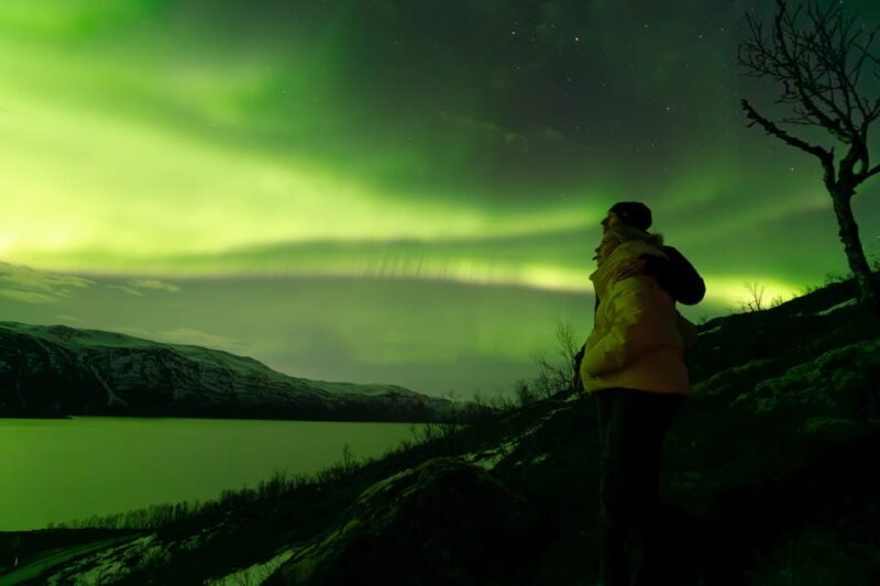 Tromsø: Aurora Quest Minibus Adventure - Key Points