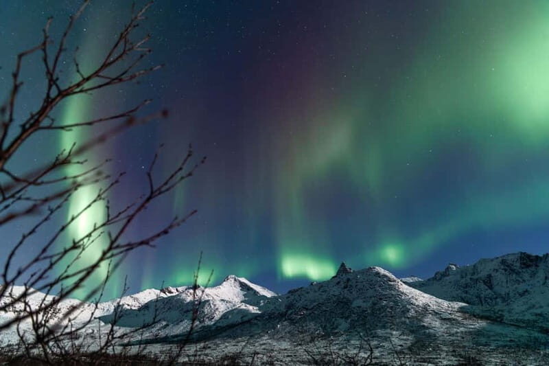 Tromsø: Aurora Quest small group Adventure - Who Should Consider This Tour?