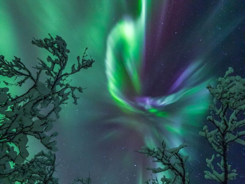 Tromso: Cod-Tasting Tour with Full Steam Museum Entry - FAQs