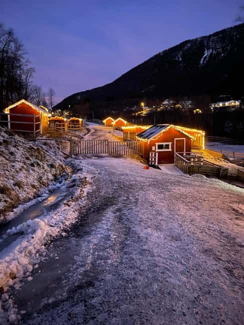 Tromsø: Cosy Farm Visit with a Chance of Northen Lights - The Experience of Animal Encounters and Local Food