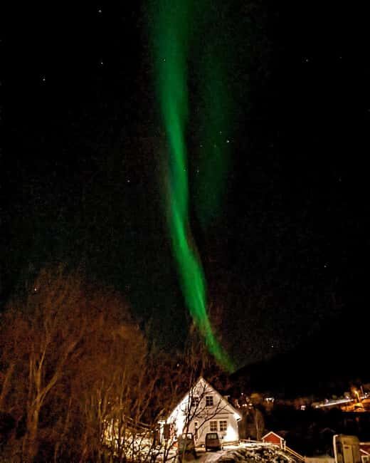 Tromsø: Cosy Farm Visit with a Chance of Northen Lights - Northern Lights and Scenic Views