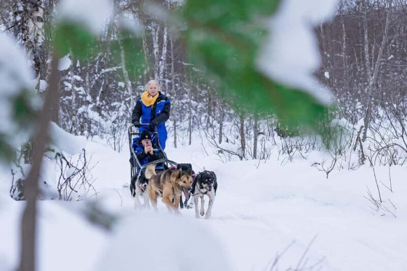 Tromsø: Dog Sledding Adventure at Camp Aspemo - Key Points