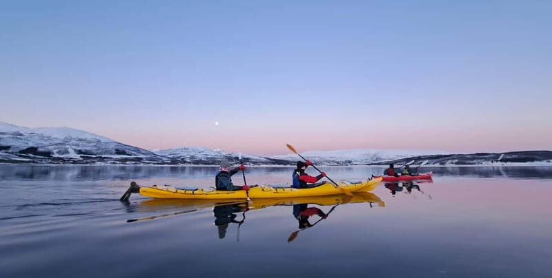 Tromsø: Easy Winter Kayaking Tour with Seal Watching - Key Points