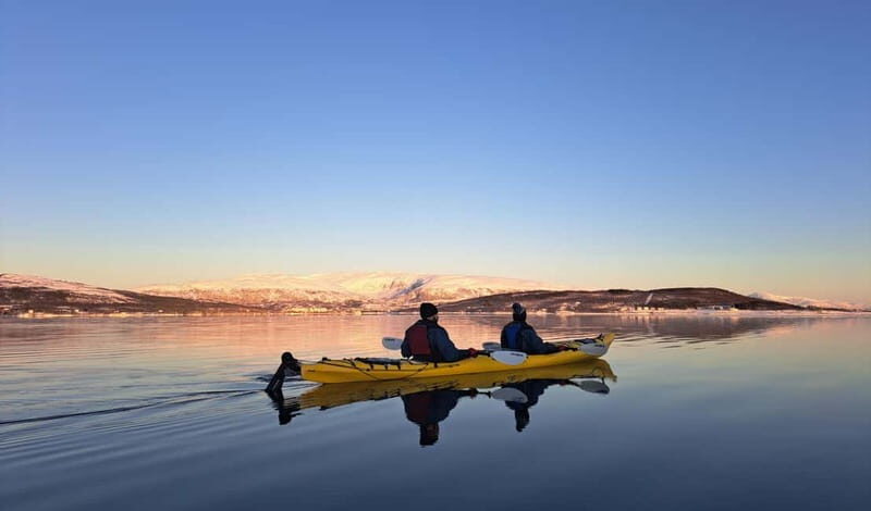 Tromsø: Easy Winter Kayaking Tour with Seal Watching - The Value of the Tour