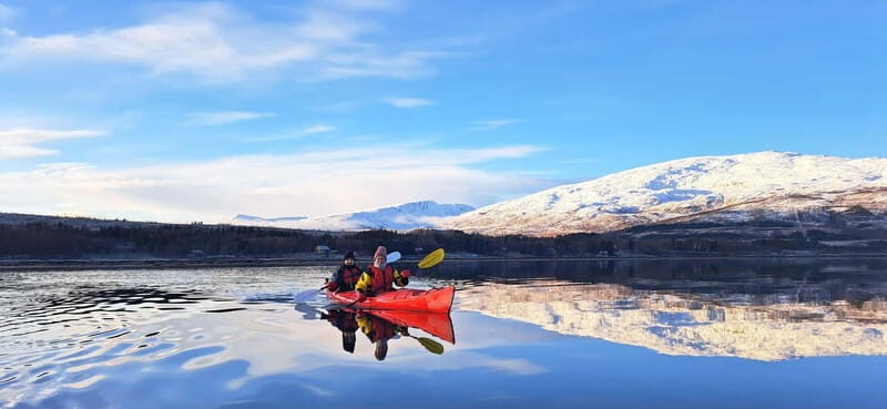 Tromsø: Easy Winter Kayaking Tour with Seal Watching - Who Should Consider This Tour?