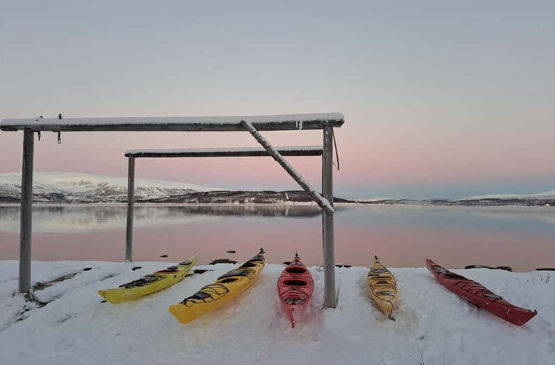 Tromsø: Easy Winter Kayaking Tour with Seal Watching - FAQ