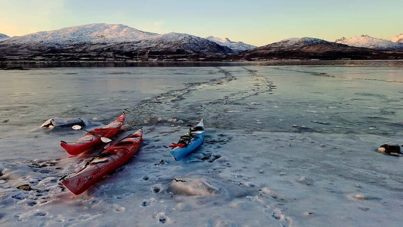 Tromsø: Easy Winter Kayaking Tour with Seal Watching - The Sum Up