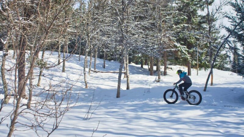 Tromsø: Electric fatbike trip on winter paths - An Overview of the Experience