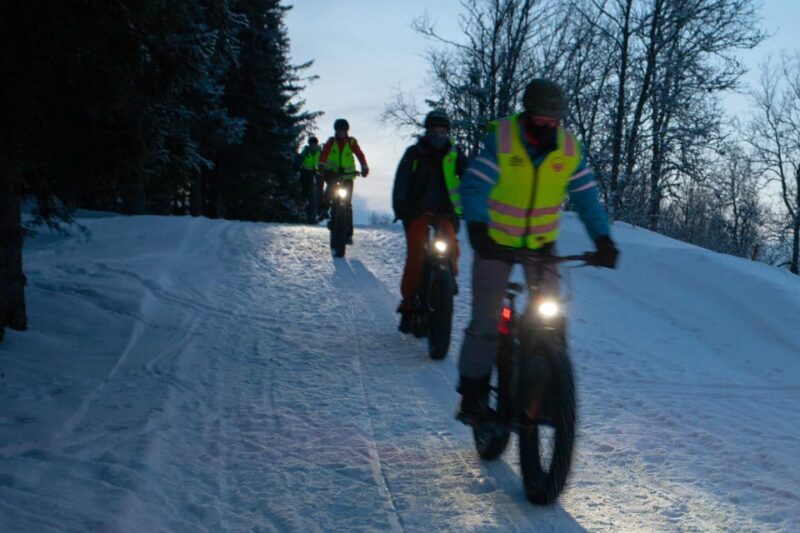 Tromsø: Electric fatbike trip on winter paths - Learning About Arctic Life