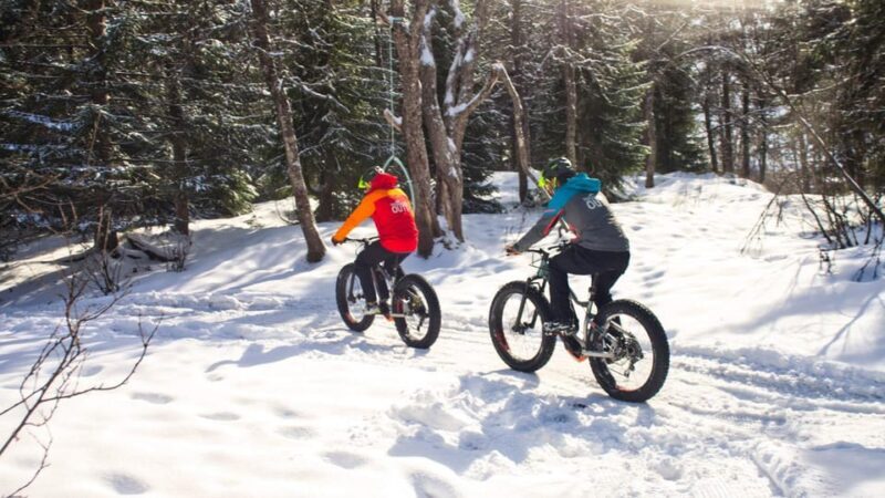 Tromsø: Electric fatbike trip on winter paths - Final Thoughts: Is This Tour for You?